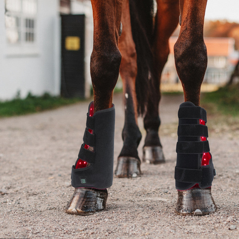 KFX-3115581 Red Light Infrared Phototherapy Device for Horse Leg Recovery and Wound Healing