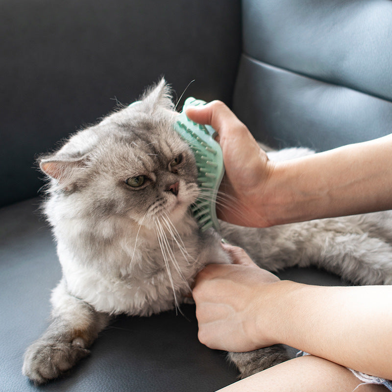KFX-3125309 Cat Massage Comb - Rubber Cactus Rubbing Brush for Itching Relief and Play