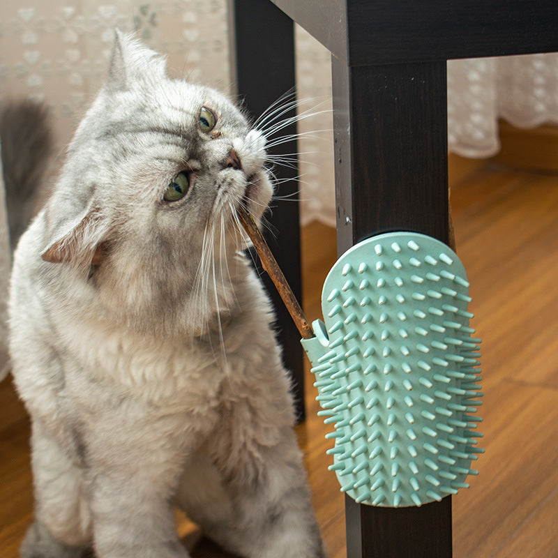 KFX-3125309 Cat Massage Comb - Rubber Cactus Rubbing Brush for Itching Relief and Play