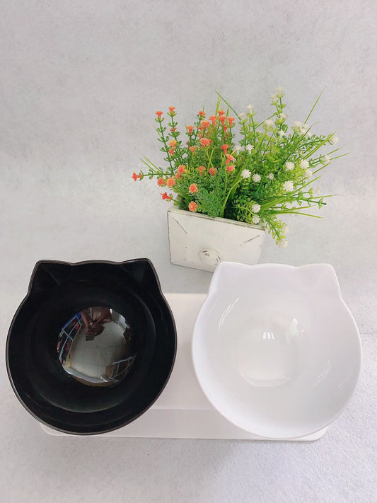 KFX-3129661 Transparent Double Cat Food Bowl with 15° Neck Protection and Anti-Skid Base