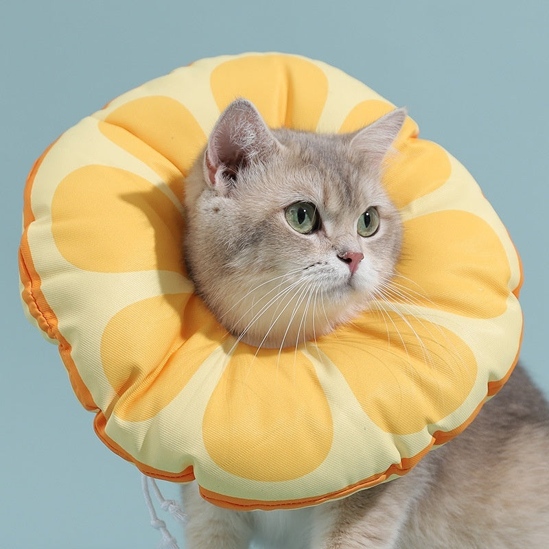 KFX-3131453 Colorful Anti-Licking Kitten Collar with Adjustable Sizes and Waterproof Patterns