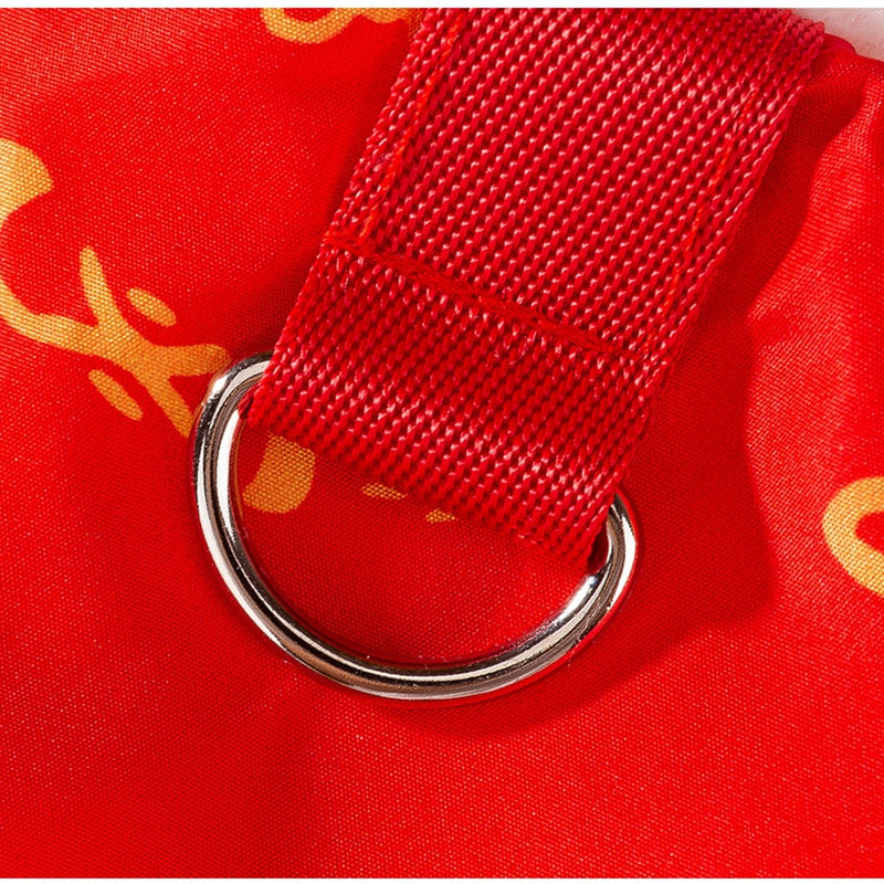 KFX-3134013 Lunar New Year Lion Dance Pet Jumpsuit with Faux Fur Trim and Embroidery