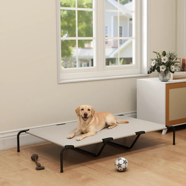 KFX-3148733 Elevated Cooling Pet Cot for Comfortable Outdoor Relaxation