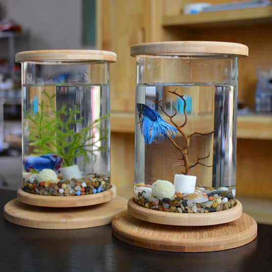 KFX-3150013 Mini Glass Aquarium with Bamboo Base for Small Office Decoration