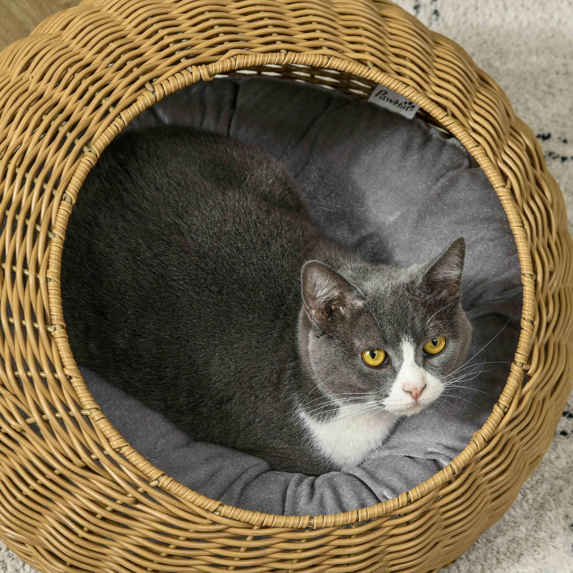 KFX-3160893 Stylish Rattan Cat Bed with Washable Cushion for Cats Under 9 lbs