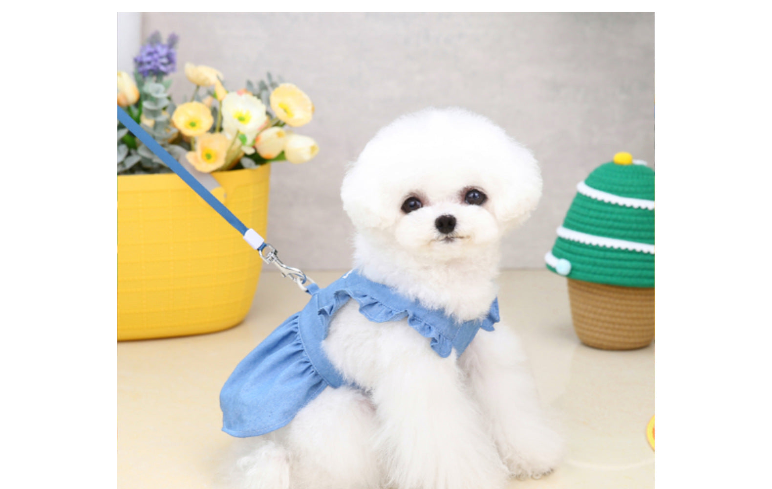 KFX-3166781 Embroidered Letter Denim Skirt for Dogs - Spring & Summer Fashion in Dark Blue and Light Blue