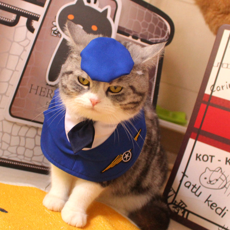 KFX-3181117 Personalized Blue Polyester Pet Clothing with Hat for Cats - Sizes S, M, L