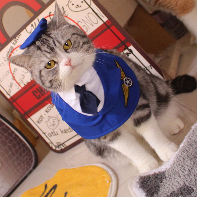 KFX-3181117 Personalized Blue Polyester Pet Clothing with Hat for Cats - Sizes S, M, L