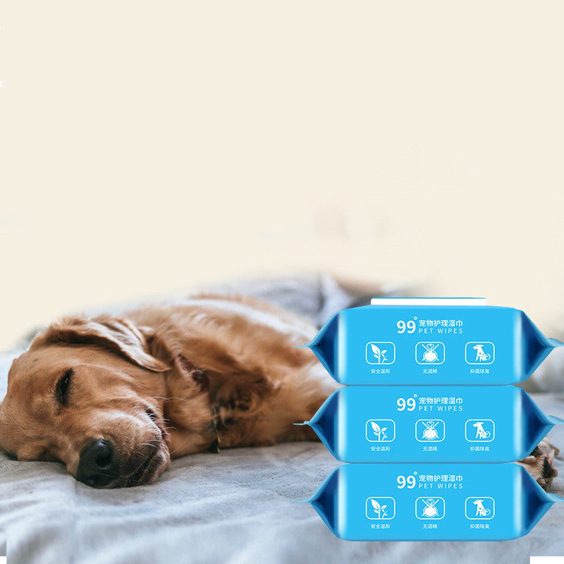 KFX-3181373 Tear-Free Pet Wipes for Dogs and Cats - 100 Antibacterial Non-Woven Fabric Wipes