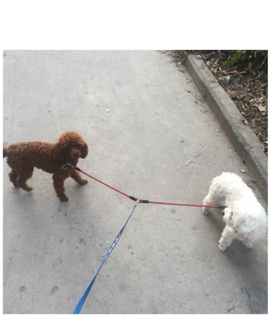 KFX-3189053 Pet Double-Ended Traction Rope for Small Dogs - Cotton and Nylon, 110 cm Length, Red Purple