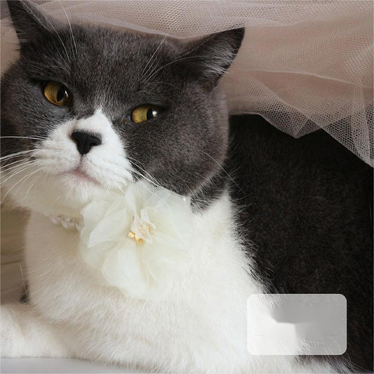 KFX-3196989 Stylish Pet Collar Necklace for Cats and Dogs in White Pink, Multiple Sizes Available