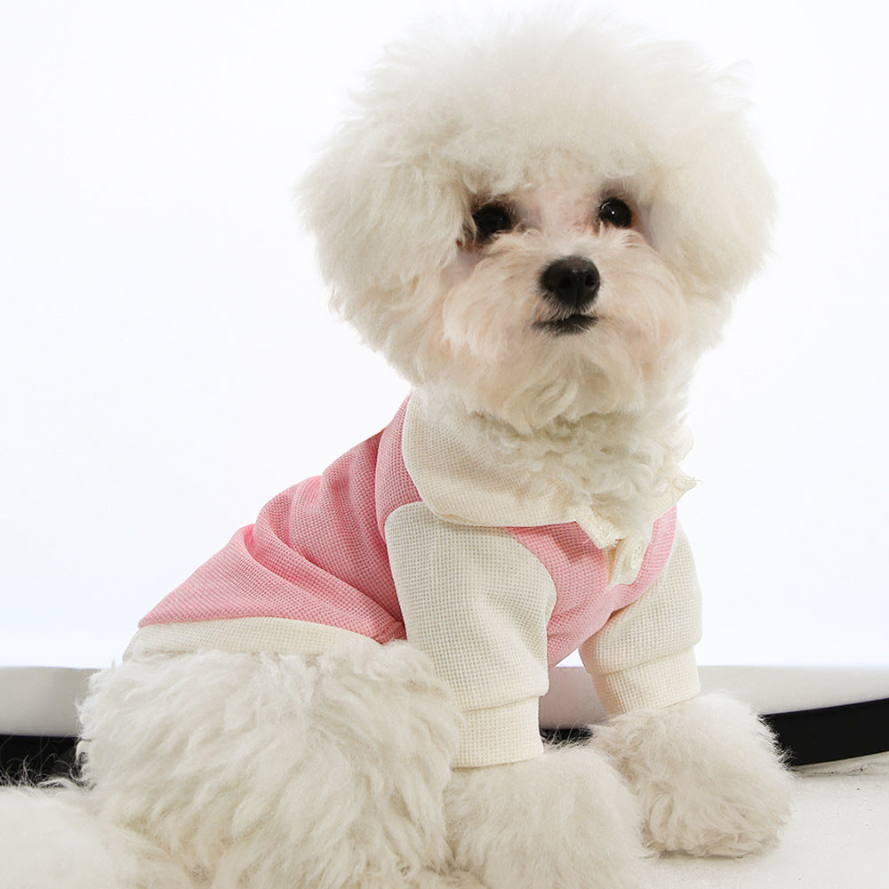 KFX-3199549 Cute Thin Breathable Princess Style Dog Clothes in Blue, Gray, Pink, Orange - Sizes XS to XXL