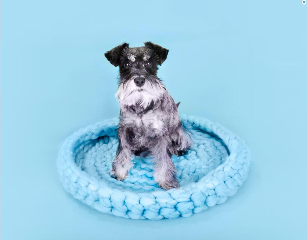 KFX-3200829 Coarse Wool Pet Nest for Dogs - 45cm Super Thick Wool Dog House