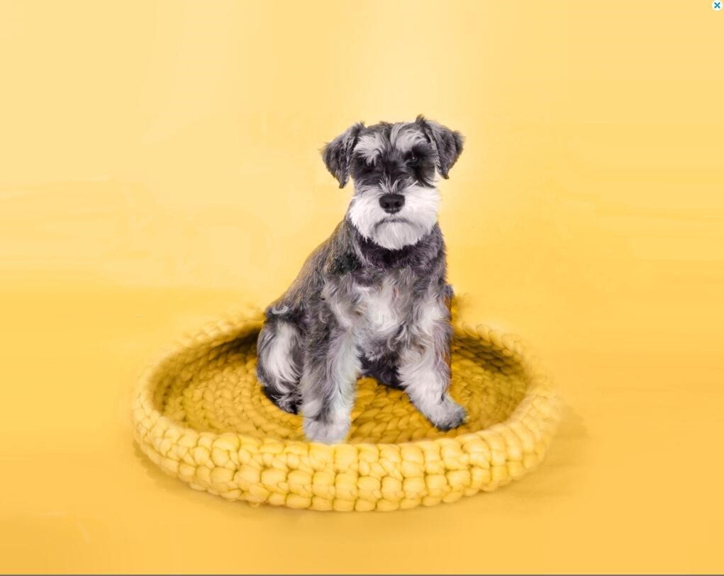 KFX-3200829 Coarse Wool Pet Nest for Dogs - 45cm Super Thick Wool Dog House
