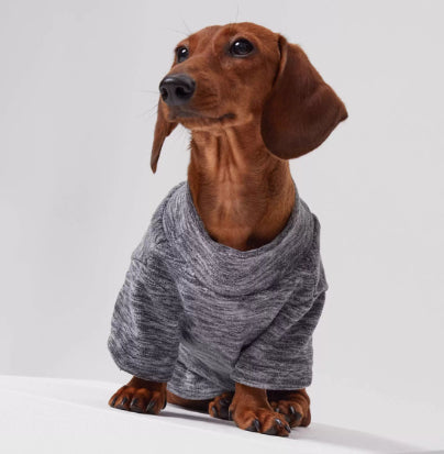 KFX-3205309 Polar Velvet Padded Dog Shirt for Medium and Large Pets in Gray, Blue, and Purple Sizes XS to 6XL