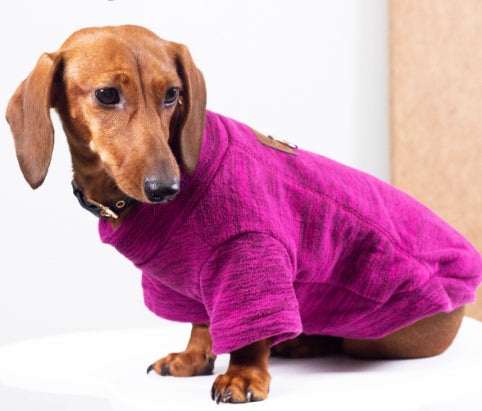 KFX-3205309 Polar Velvet Padded Dog Shirt for Medium and Large Pets in Gray, Blue, and Purple Sizes XS to 6XL