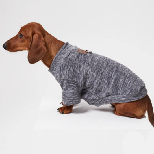 KFX-3205309 Polar Velvet Padded Dog Shirt for Medium and Large Pets in Gray, Blue, and Purple Sizes XS to 6XL