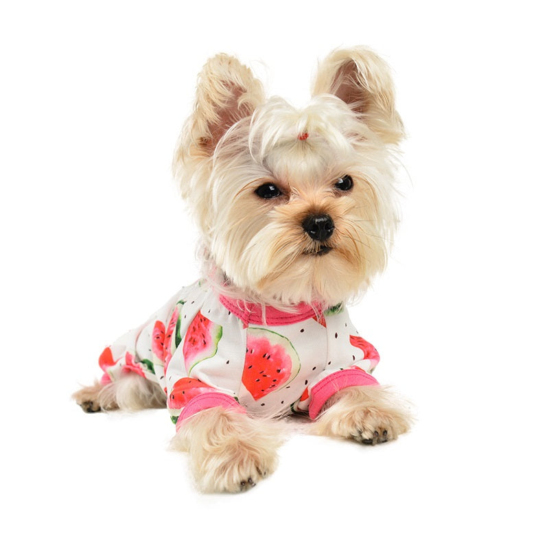 KFX-3206333 Watermelon Print Four-Leg Jumpsuit for Dogs - Available in Multiple Sizes