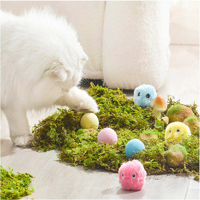 KFX-3209149 Light-Up Plush Cat Teaser Ball with Catnip & Sound for Pet Playtime