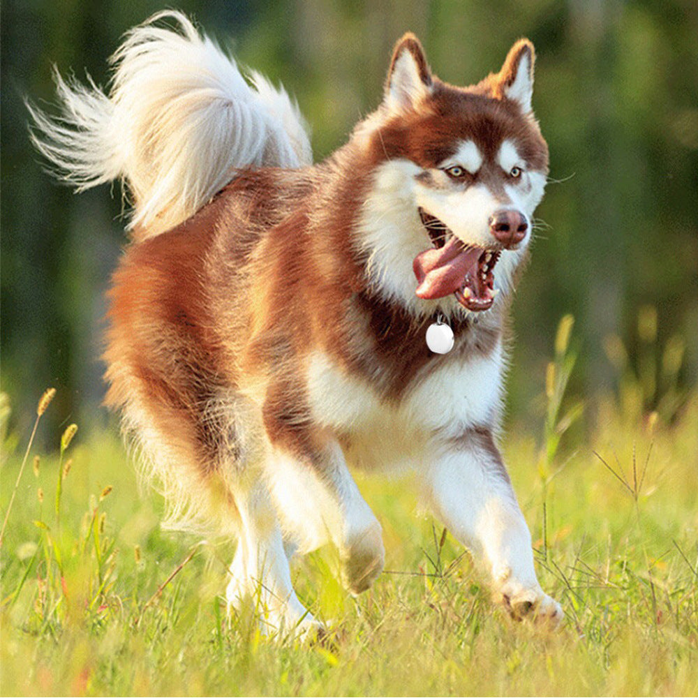 KFX-3211965 Mini GPS Locator for Pets and Family with Step Counting and Tracking Features