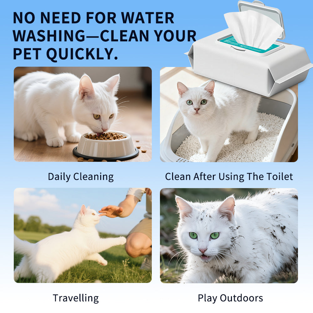 KFX-3214141 Gentle Unscented Pet Wipes for Dogs & Cats - Alcohol-Free Grooming Wipes for Paws, Body & Bum - 100 Sheets