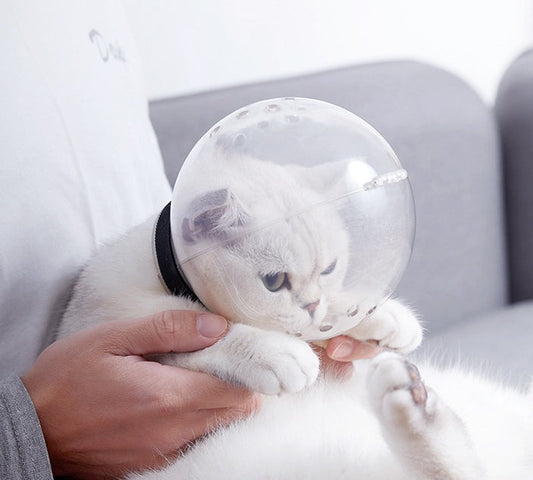 KFX-3214269 Safe and Breathable Cat Headgear for Pets, Neck Circumference 17.5cm-23.5cm