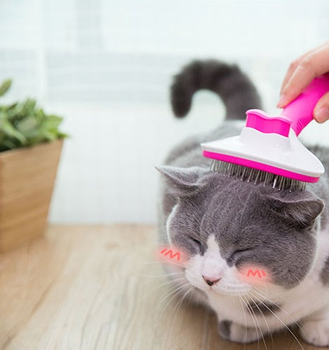 KFX-3217853 Long Hair Cat Comb for Efficient Hair Removal and Daily Pet Massage