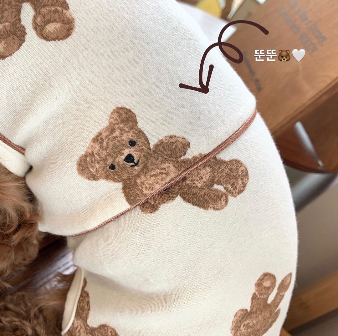 KFX-3220413 Cozy Bear One-Piece Jumpsuit for Dogs - Milky White & Brown, Pure Cotton, Sizes S to 2XL