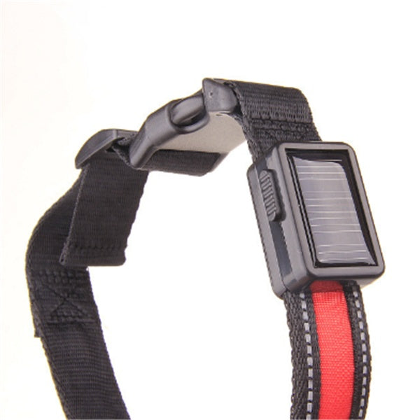 KFX-3223997 Solar and USB Rechargeable LED Dog Collar - Adjustable Nylon Pet Collar with Bright, Soft Light