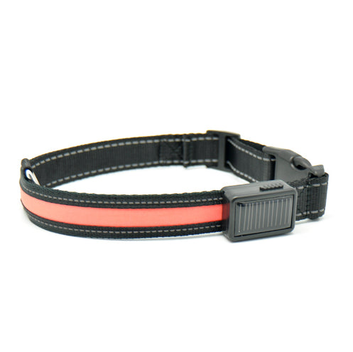 KFX-3223997 Solar and USB Rechargeable LED Dog Collar - Adjustable Nylon Pet Collar with Bright, Soft Light