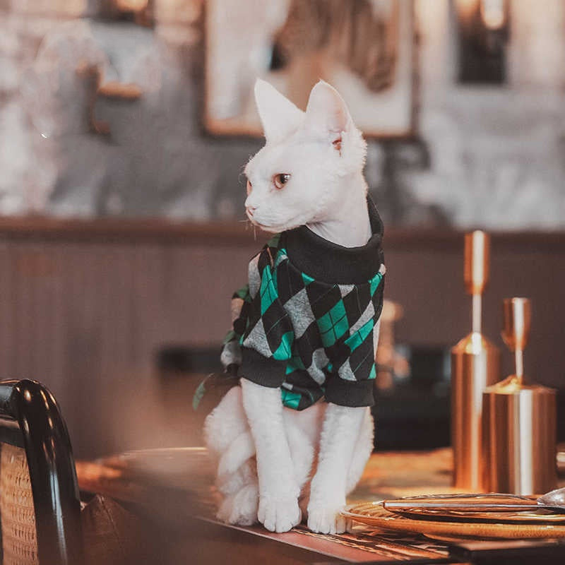 KFX-3225789 Cotton Plaid Long-Sleeved Sweater for Hairless Cats in Green, Multiple Sizes Available