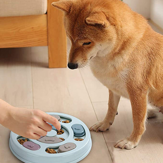 KFX-3237309 Engaging Dog Puzzle Feeding Bowl for Stimulating Mealtime Fun