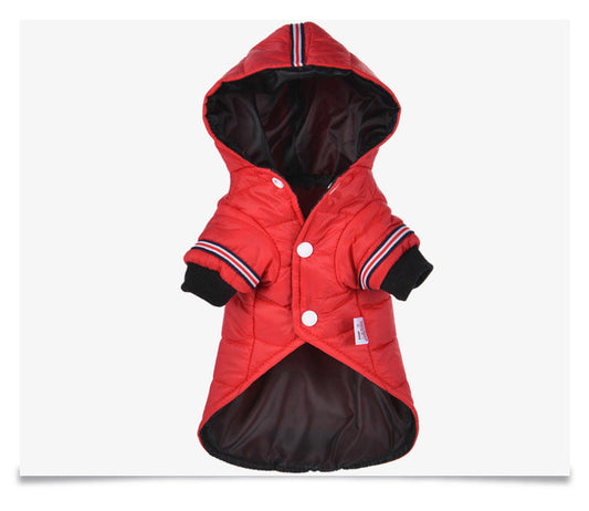KFX-3237693 Autumn Cotton Clothing for Dogs and Cats with Size Options