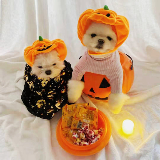 KFX-3238333 Fashionable Orange Pumpkin Hat for Cats and Dogs - Velvet Material, Sizes S & L Available