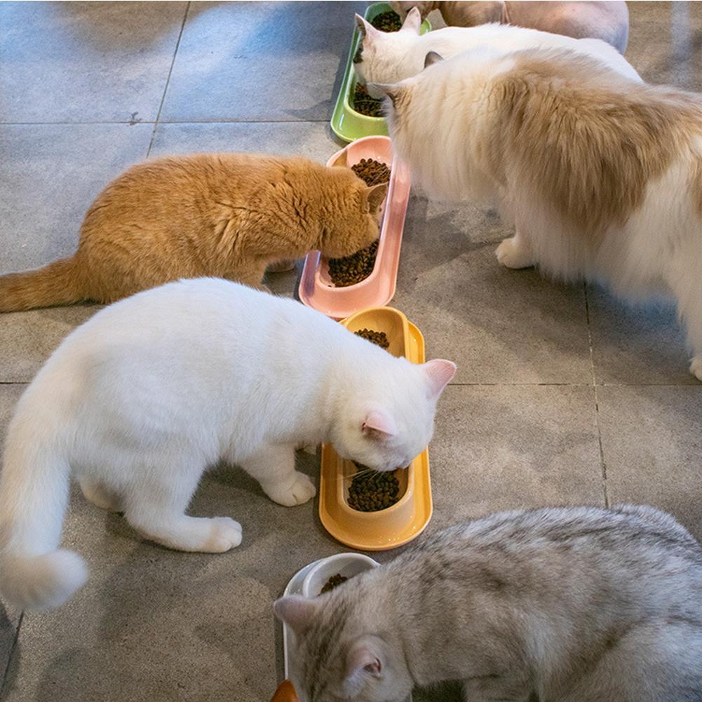 KFX-3240765 Leakproof Pet Food and Water Feeder for Dogs and Cats – Ideal for Kittens and Puppies