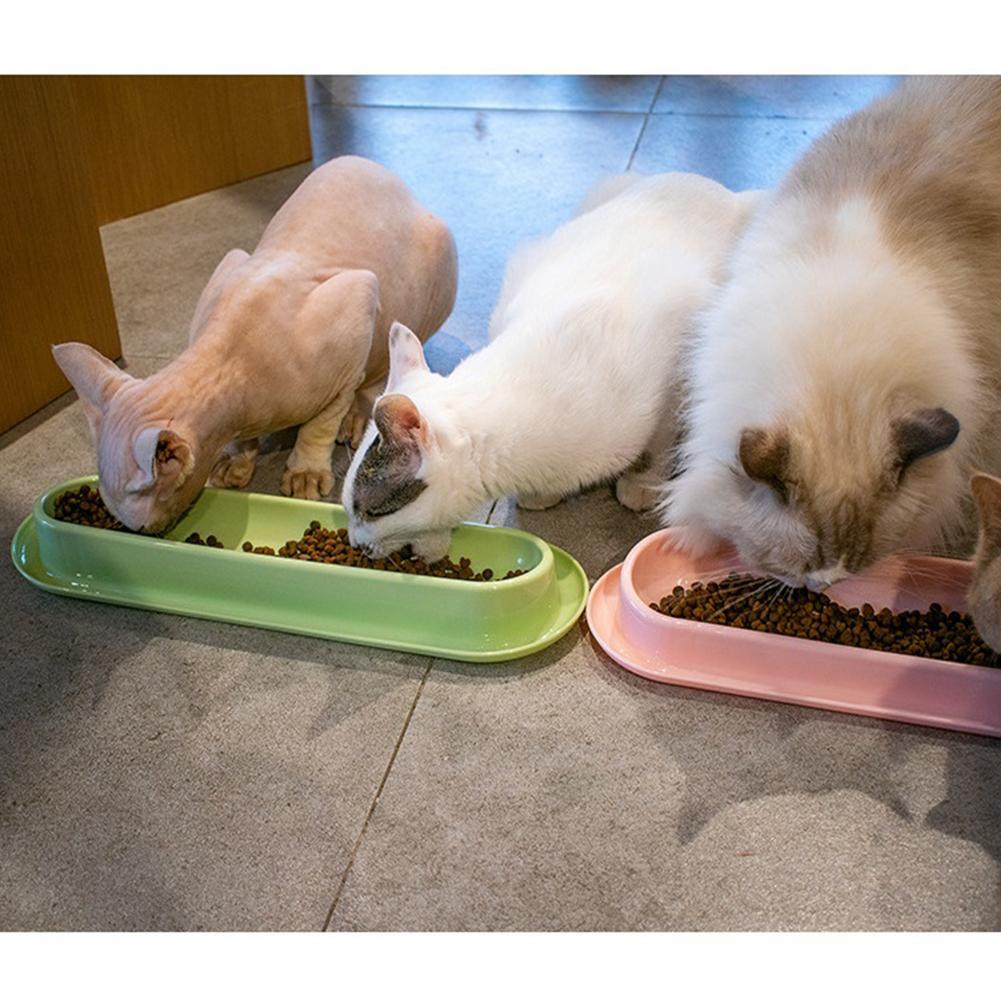 KFX-3240765 Leakproof Pet Food and Water Feeder for Dogs and Cats – Ideal for Kittens and Puppies