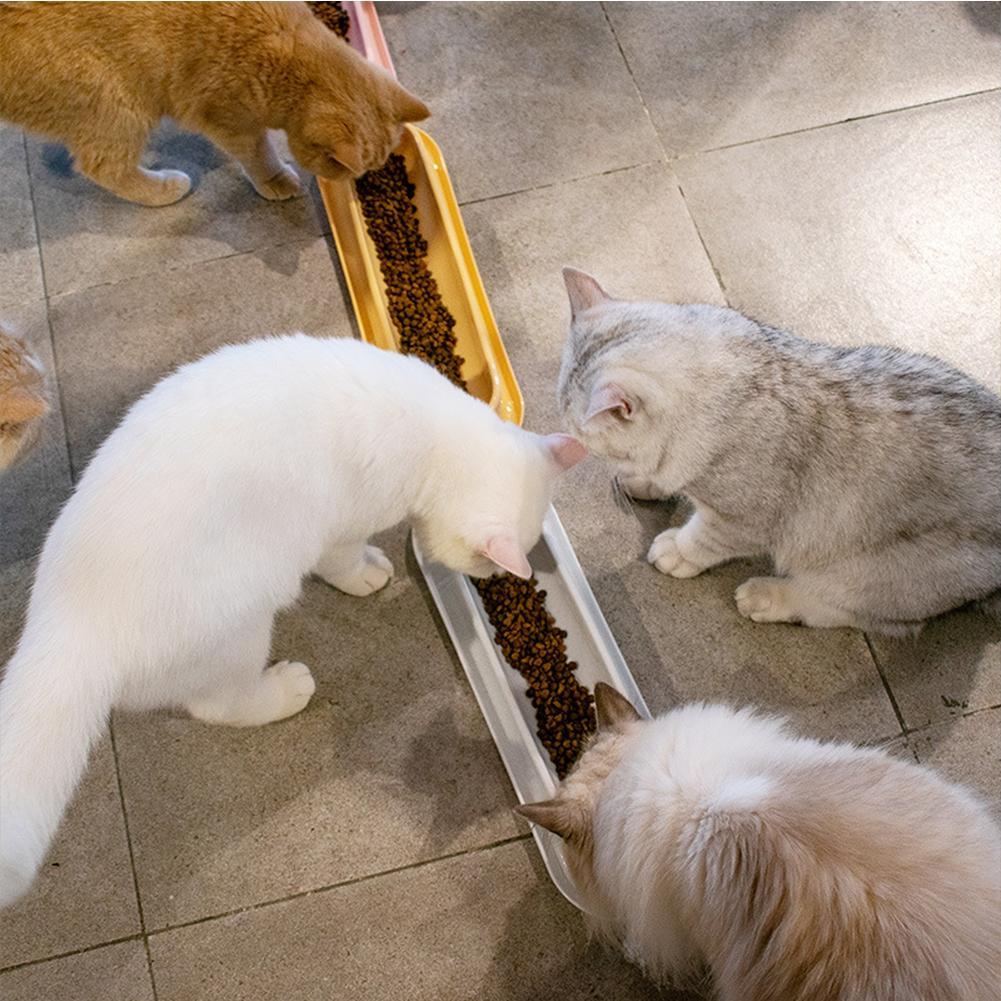 KFX-3240765 Leakproof Pet Food and Water Feeder for Dogs and Cats – Ideal for Kittens and Puppies