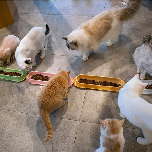 KFX-3240765 Leakproof Pet Food and Water Feeder for Dogs and Cats – Ideal for Kittens and Puppies
