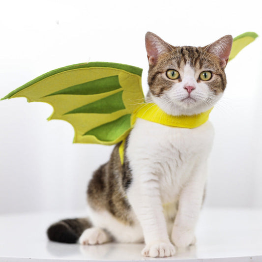 KFX-3243453 Halloween Pet Dinosaur Wings Costume for Cats and Dogs - Green Felt, Free Size