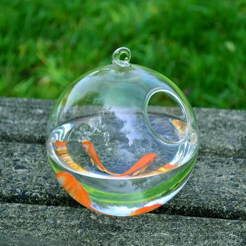 KFX-3248317 Mini Hanging Glass Vase Fish Tank with Black or White Brackets - High Borosilicate Glass Design