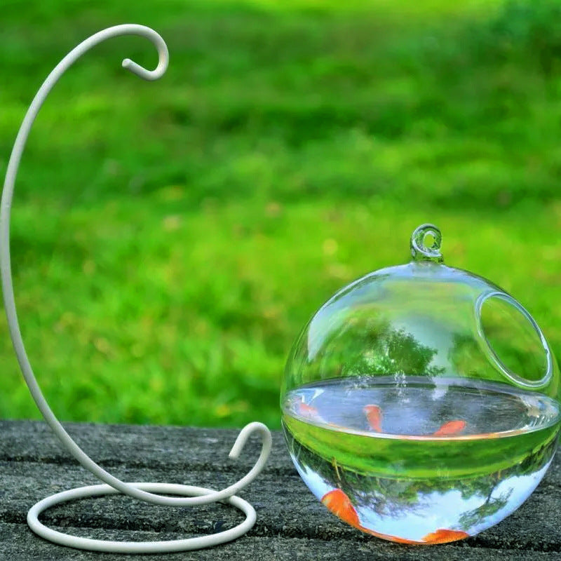 KFX-3248317 Mini Hanging Glass Vase Fish Tank with Black or White Brackets - High Borosilicate Glass Design