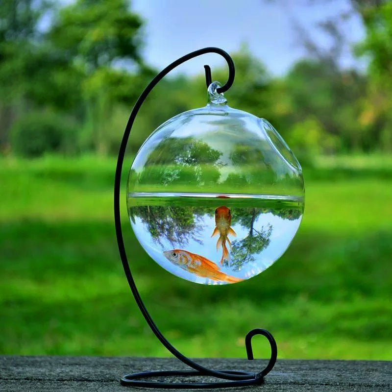 KFX-3248317 Mini Hanging Glass Vase Fish Tank with Black or White Brackets - High Borosilicate Glass Design