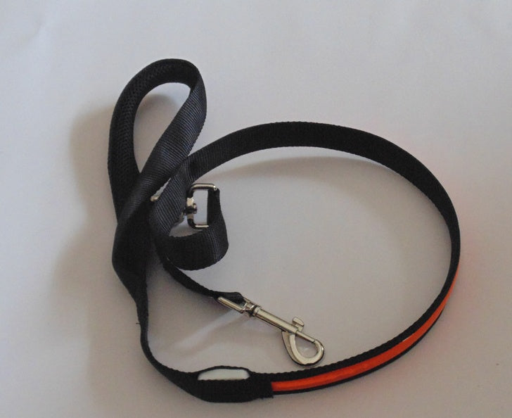 KFX-3248829 LED Fiber Optic Reflective Dog Leash with Manual Control for Day and Night Safety