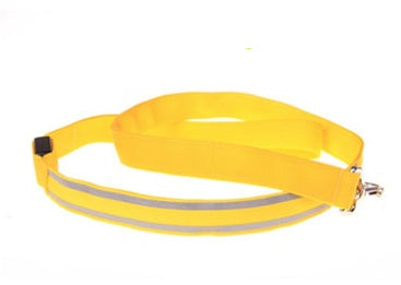 KFX-3248829 LED Fiber Optic Reflective Dog Leash with Manual Control for Day and Night Safety