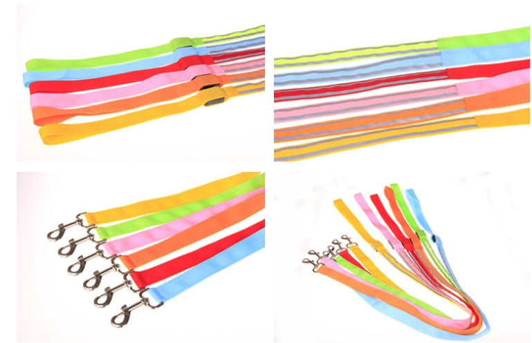 KFX-3248829 LED Fiber Optic Reflective Dog Leash with Manual Control for Day and Night Safety