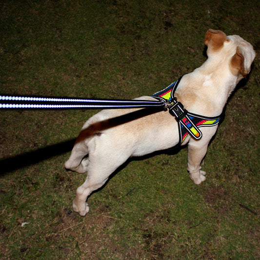KFX-3254077 Colorful Reflective Oxford Fabric Pet Harness with Leash - Available in Camouflage, Neon, Black Line, and Color Corrugated Designs