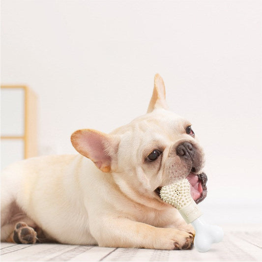 KFX-3255613 Durable Nylon and Rubber Chew Toy for Dogs - Burr Bone Design