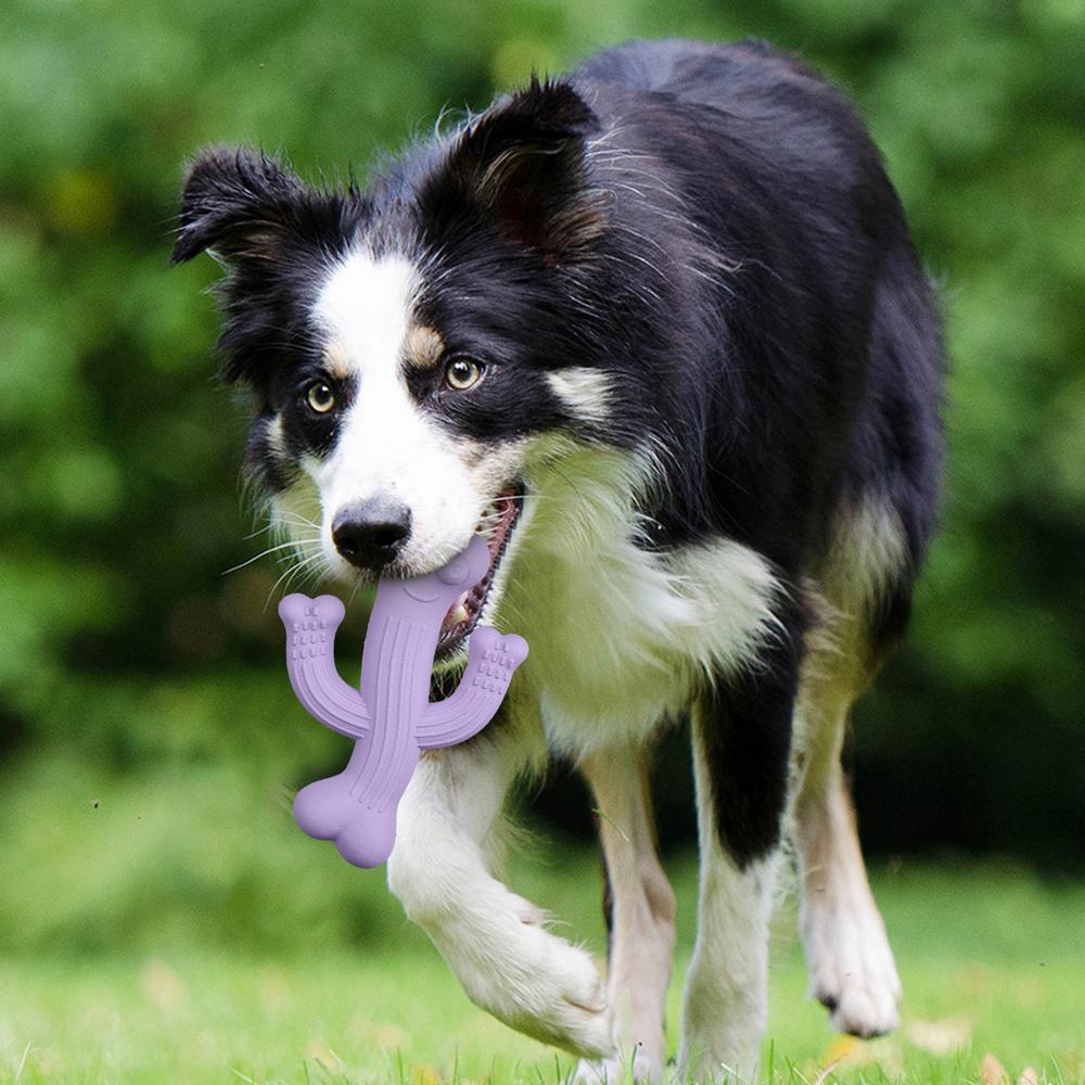 KFX-3258045 Ultra Durable Cactus Dog Chew Toy for Puppies, Medium & Large Dogs - Interactive and Nearly Indestructible Design