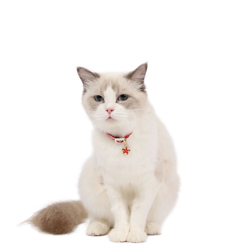 KFX-3262525 Adjustable Flower Pattern Pet Collar with Hollow Bell in Multiple Colors