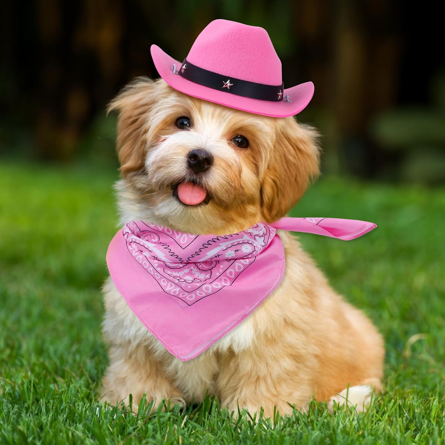 KFX-3264701 Pet Cowboy Costume Set with Hat and Bandana for Cats and Kittens, Ideal for Halloween and Cosplay Events